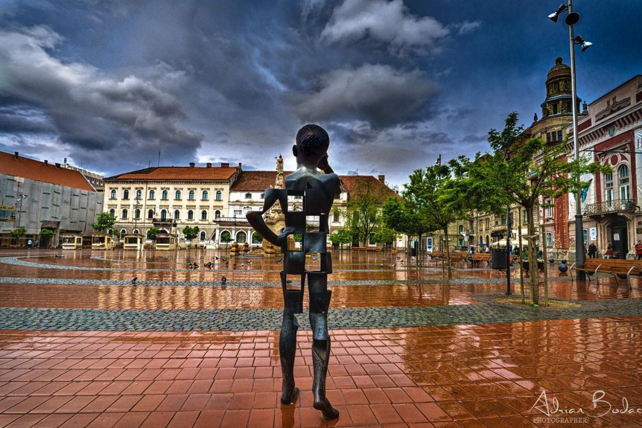 Take Pro Timisoara Apartment Luaran gambar