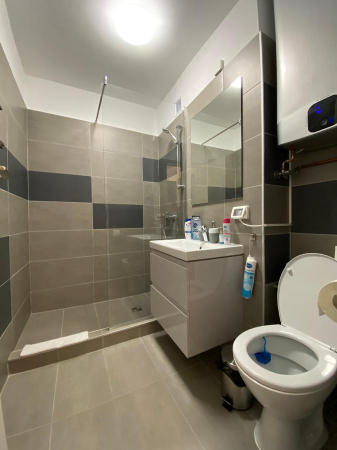 Take Pro Timisoara Apartment Luaran gambar