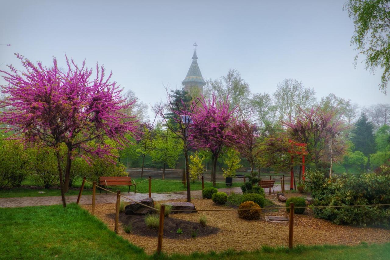 Take Pro Timisoara Apartment Luaran gambar