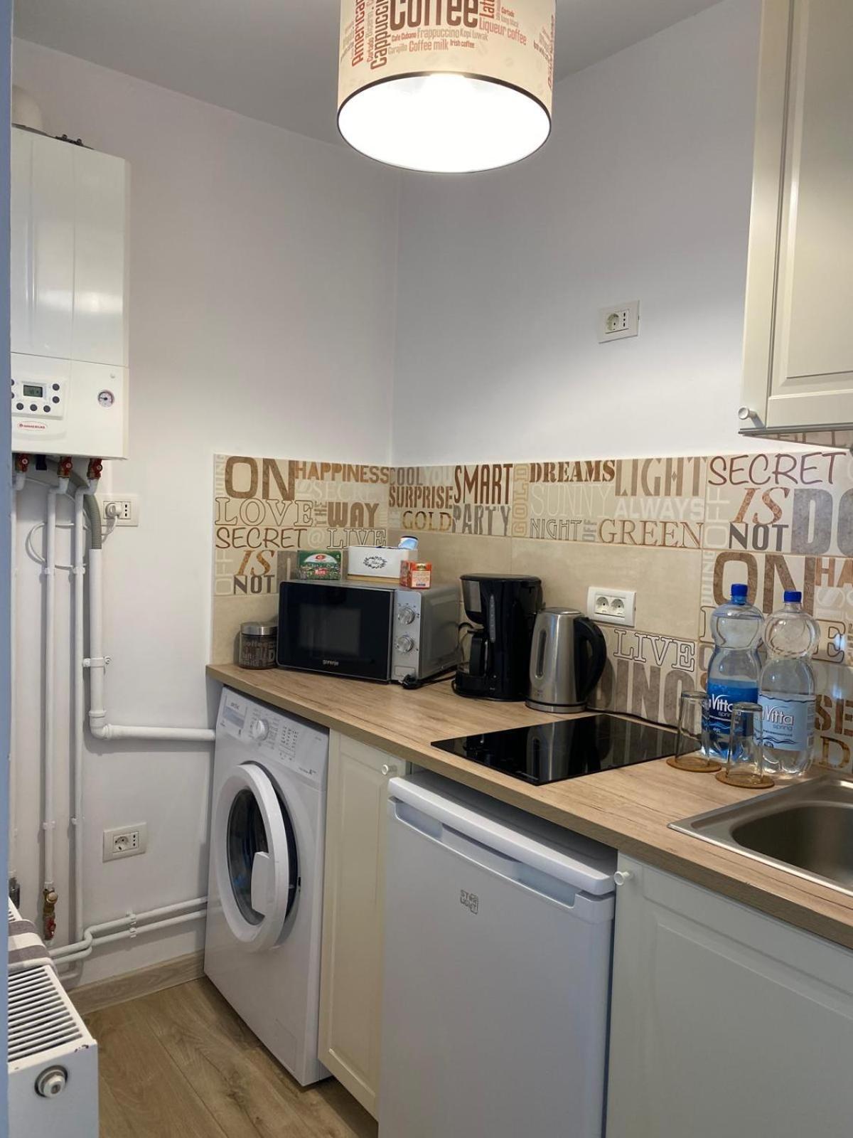 Take Pro Timisoara Apartment Luaran gambar